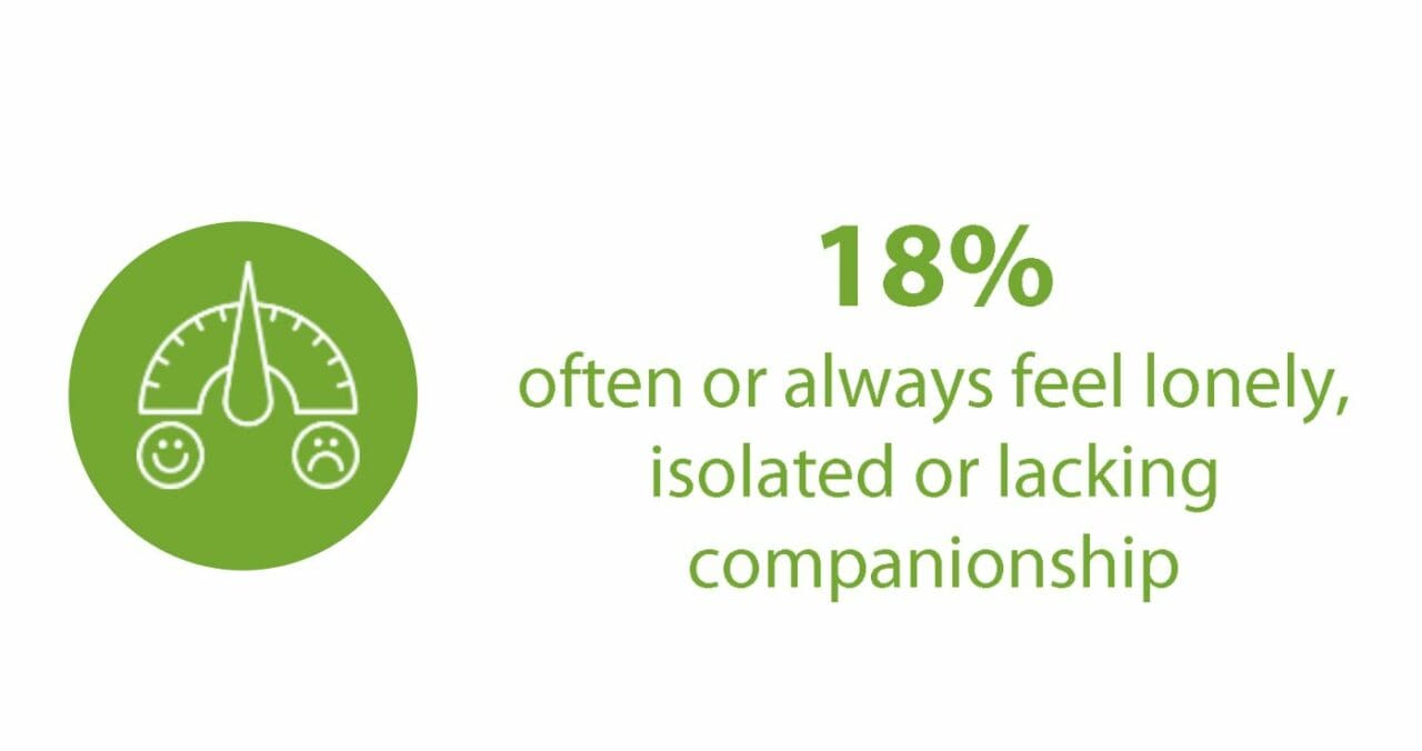 The 2018 Wellbeing Survey showed that 18% of respondents often or always feel lonely, isolated or lack companionship