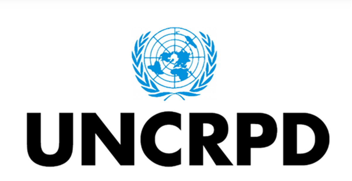 UNCRPD Working with Government